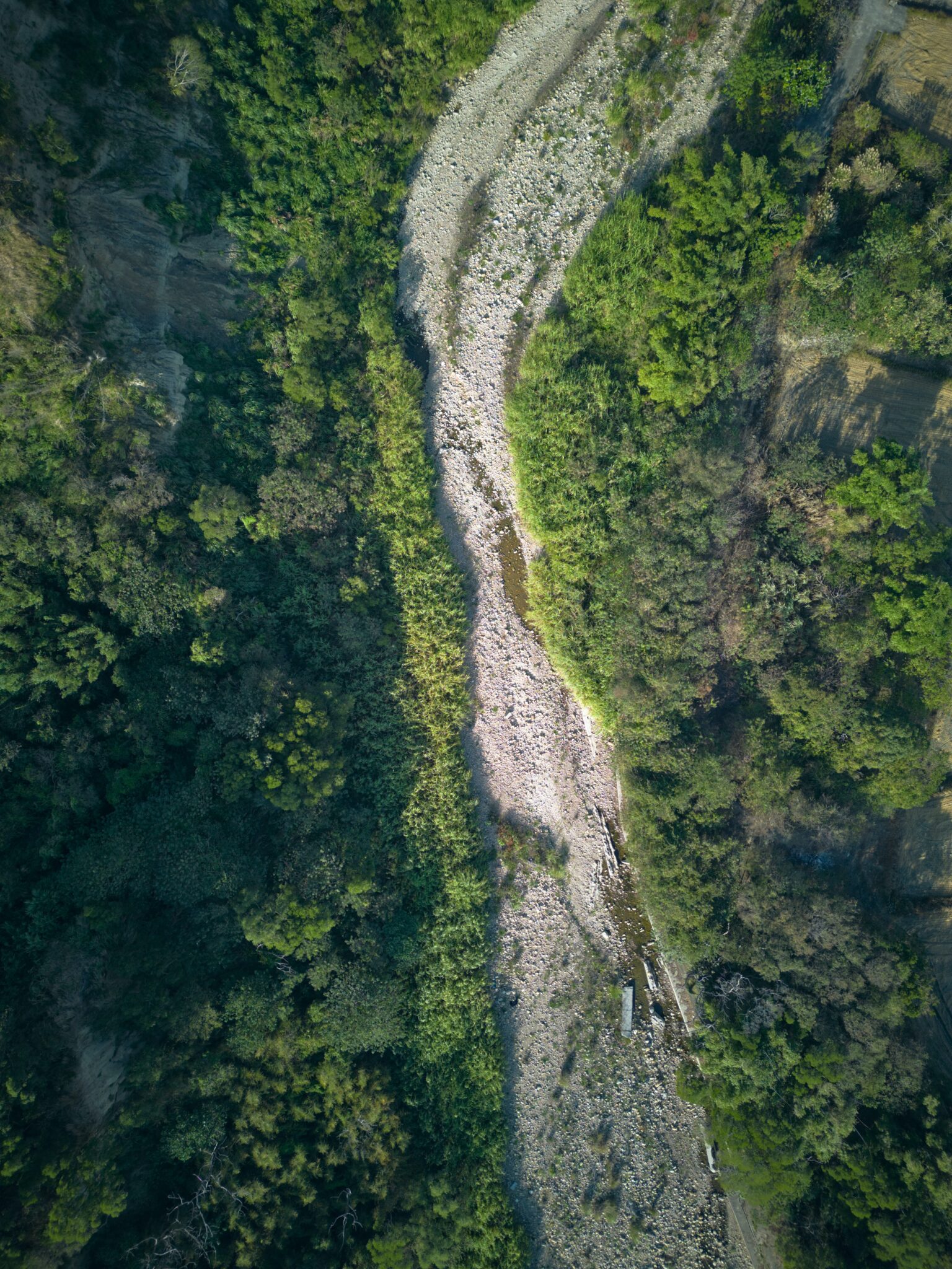 ¡No al viaducto elevado sobre nuestro Río Santa Catarina! Detengamos el ecocidio